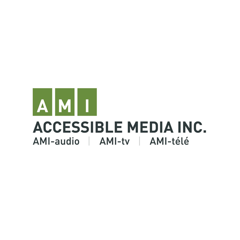 Accessible Media