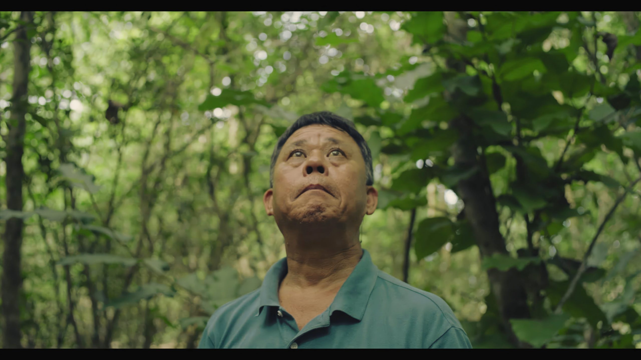 Saigon Story: Two Shootings in the Forest Kingdom